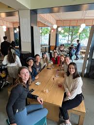 Image result for Mission Impossible Netball Club