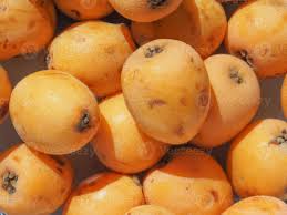 Attēlu rezultāti vaicājumam “Mespilus germanica fruit”