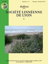 Attēlu rezultāti vaicājumam “Athous sp.”