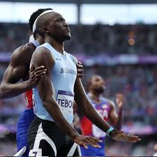 Image result for Tobogo