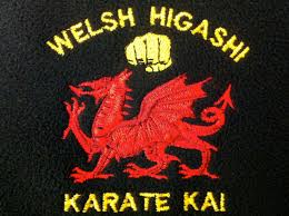 Image result for Twyford Higashi Karate Club
