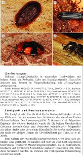 Attēlu rezultāti vaicājumam “Ostoma ferruginea”