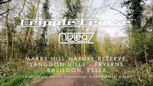 Image result for Basildon Barstable