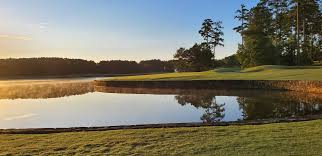 Image result for Elmbridge Boccia Club