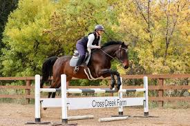 Image result for Fisher Equestrian