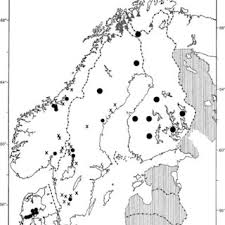 Attēlu rezultāti vaicājumam “Bembidion litorale”