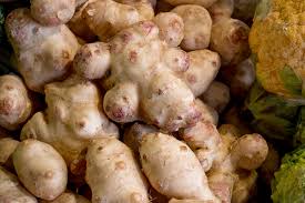 Attēlu rezultāti vaicājumam “Helianthus tuberosus”