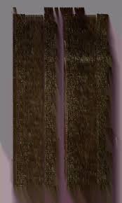 Attēlu rezultāti vaicājumam “Milesina murariae”