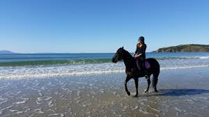 Image result for Woodhill Riding Club
