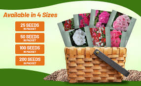 Attēlu rezultāti vaicājumam “Geranium bohemicum fruit”