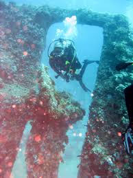 Image result for Teddington Sub-Aqua Club