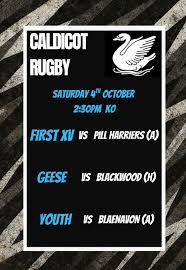 Image result for Caldicot Junior  & Mini Rugby Club