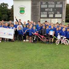 Image result for Cornwood Cricket Club