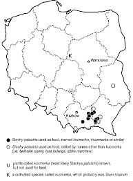 Attēlu rezultāti vaicājumam “Stachys palustris fruit”