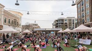 Image result for Avalon Lifestyle Centres