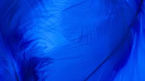 Image result for Corby Scrabble Club