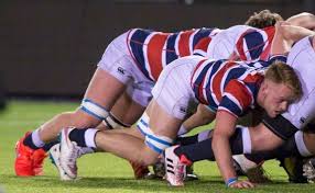 Image result for Newcastle(Staffs) Rugby Union Football Club