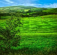 Image result for Glossop & District Golf Club