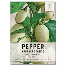 Afbeeldingsresultaat voor white habanero hot pepper