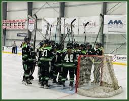 Image result for Kingston Ice Dance Club