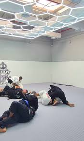 Image result for Derwent Jujitsu Academies