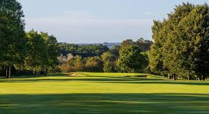 Image result for Welwyn Garden City Cricket Club