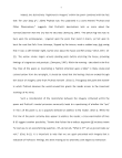 Student Essay Editing - Scribendi.