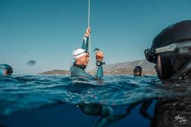 Image result for TAL Divers