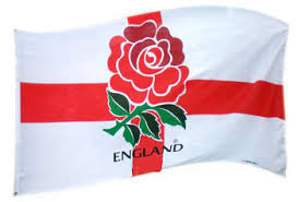 Image result for символ англии