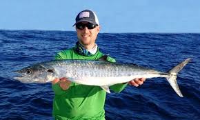 Image result for Scomberomorus cavalla