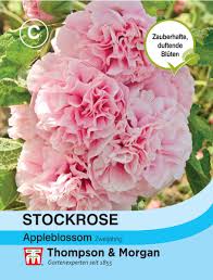 Image result for Alcea rosea `Appleblossom`