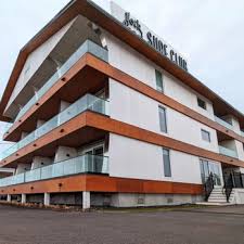 Image result for York University Surf Club