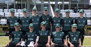 Image result for Redlynch and Hale Cricket Club