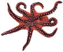 Image result for papop