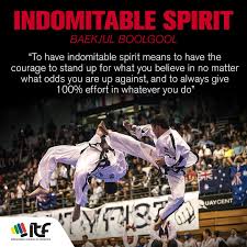 Image result for I T F Taekwondo (Andover)