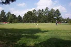 Image result for Forest Green Cricket Club