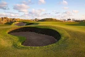 Image result for Hartlepool Gc
