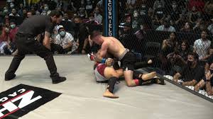 Image result for Enfield T'ai Tsung Chinese Boxing