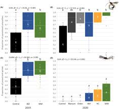 Attēlu rezultāti vaicājumam “Mamestra brassicae exuvia”