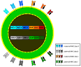 Human leukocyte antigen - Wikipedia, the free encyclopedia