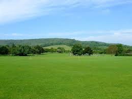 Image result for Steyning Cricket Club
