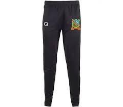 Image result for Ynysygerwn Cricket Club