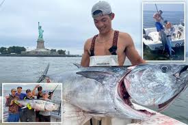 Image result for giant tuna