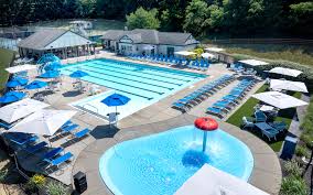 Image result for Tynedale Swimming Club