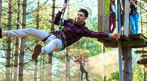 Image result for Go Ape! Thetford