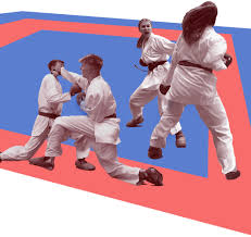 Image result for Llantrisant Tkd