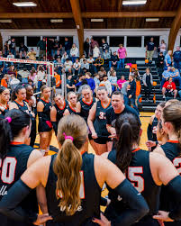 Image result for Spalding Saracens Volleyball Club