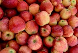 Apple fruit