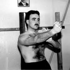 Image result for Midlands Wing Chun