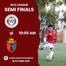 Image result for Melbourne United Football Club